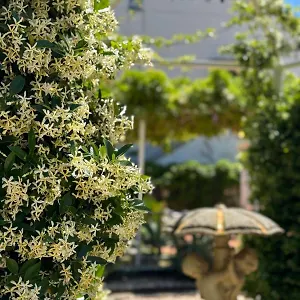 https://casa-vacanze-villa-angelina.sicilyhotelsitaly.net
